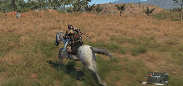 D-Horse