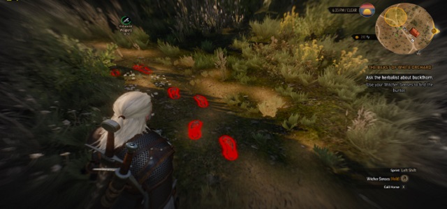 Witcher Sense detective mode